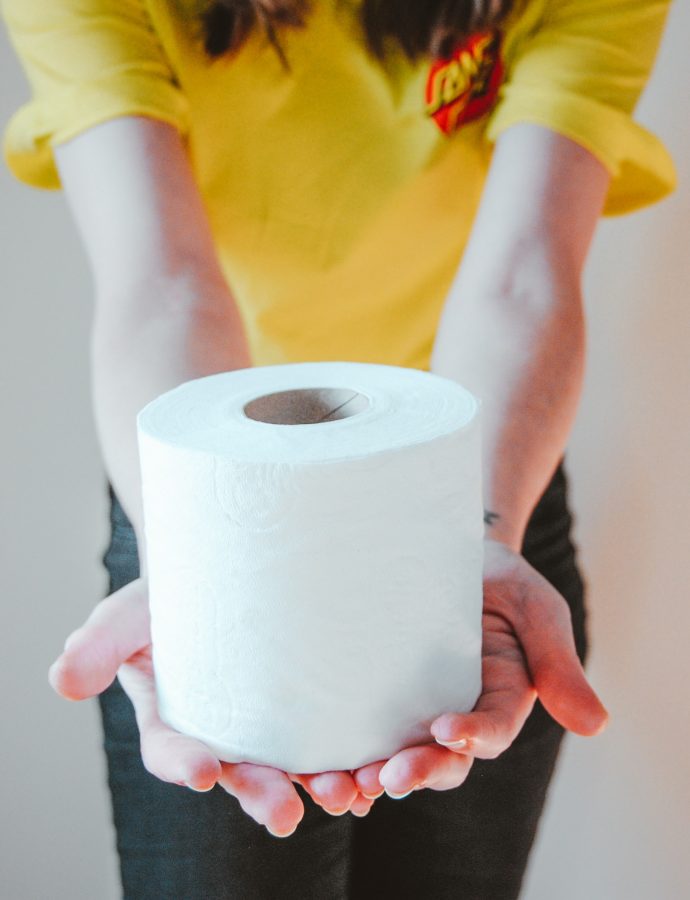 Toilettenpapier selbst machen